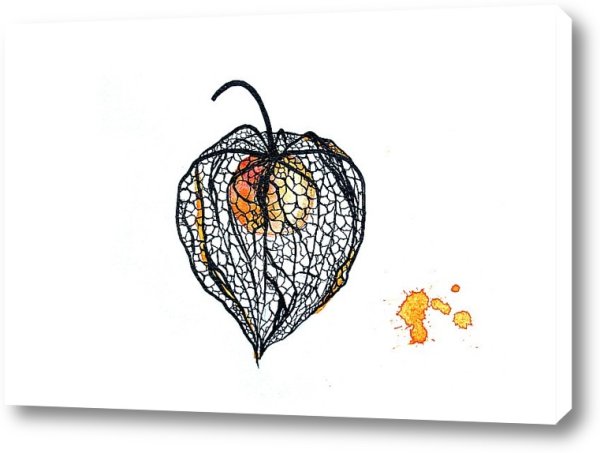 Физалис эскиз тату