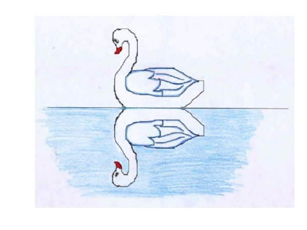 Симметрия лебеди