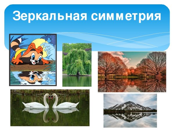 Зеркальная симметрия примеры