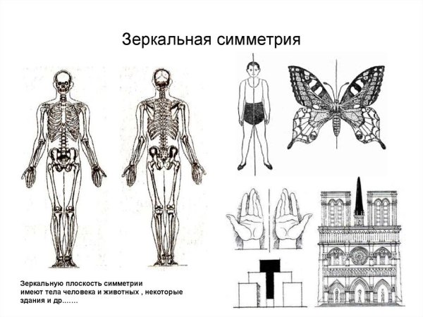 Зеркальная симметрия