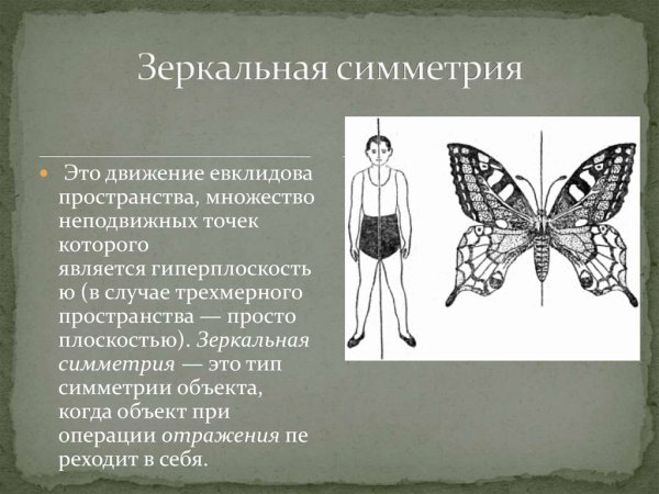 Зеркальная симметрия