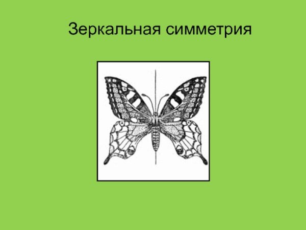 Зеркально симметричные фигуры