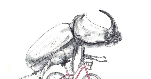 Велосипед Жук