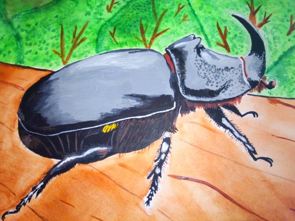 Похождения жука-носорога Паустовский рисунок