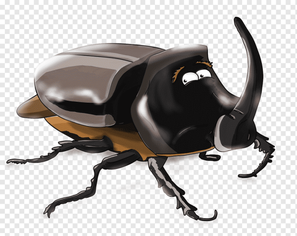 Жуки мультяшные