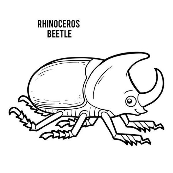 Жук носорог раскраска для детей