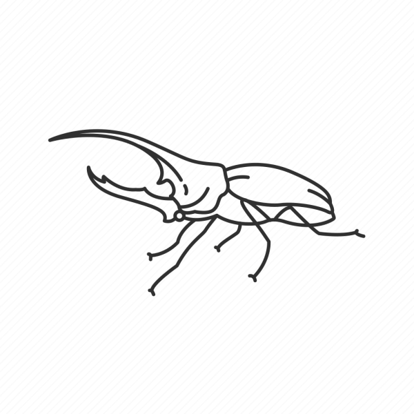 Нарисовать жука геркулеса