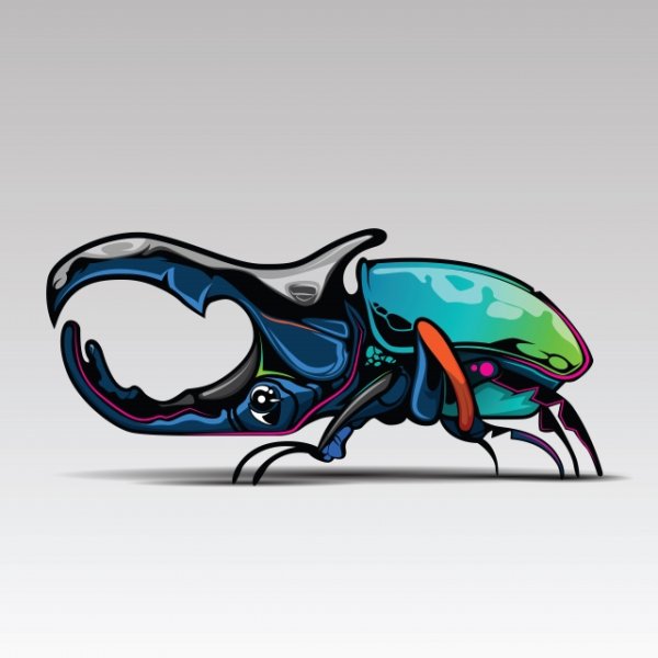 Жук носорог Графика