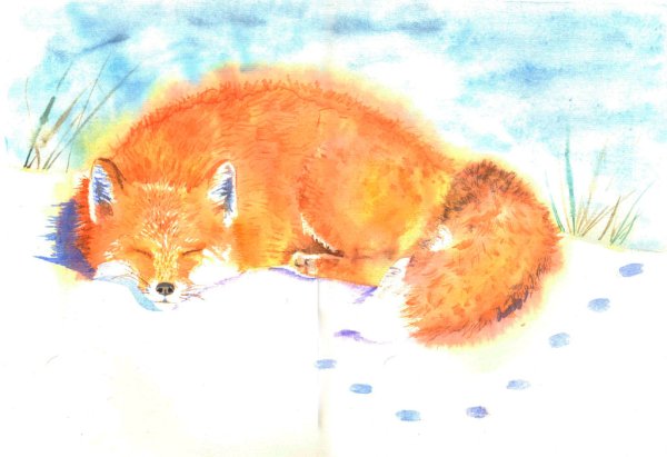 Лисичкин хлеб иллюстрации