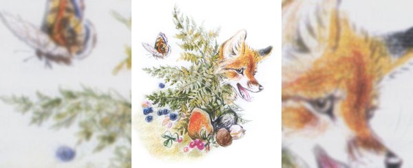 Пришвин Лисичкин хлеб рисунки детей