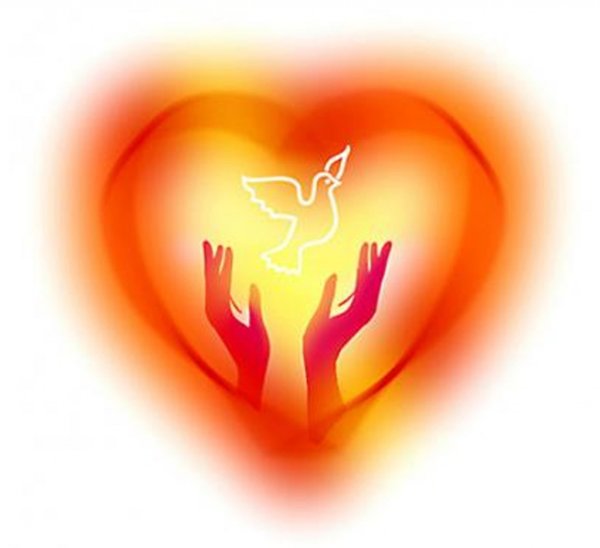 Жизнь Дона на добрые дела