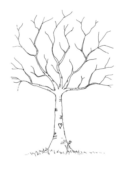 Раскраска дерево без листьев для детей