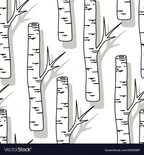 Ствол Березки для аппликации