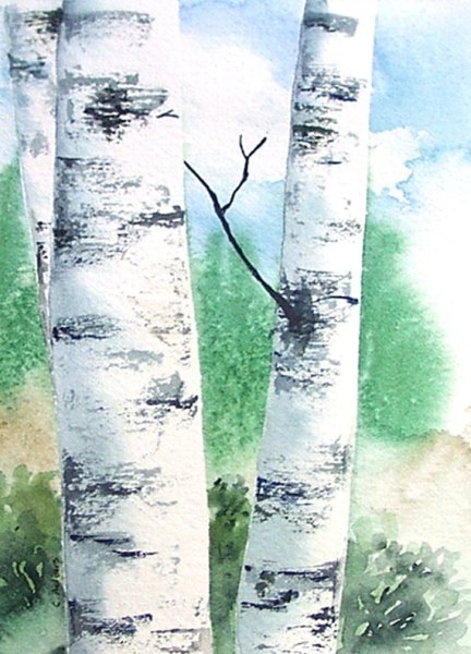 Ствол березы красками