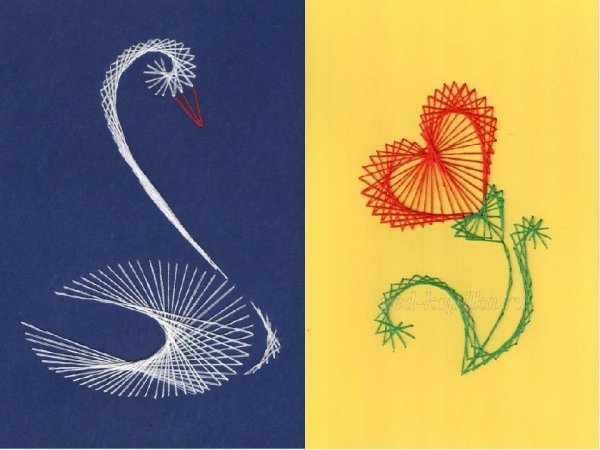 Каллы ниткография