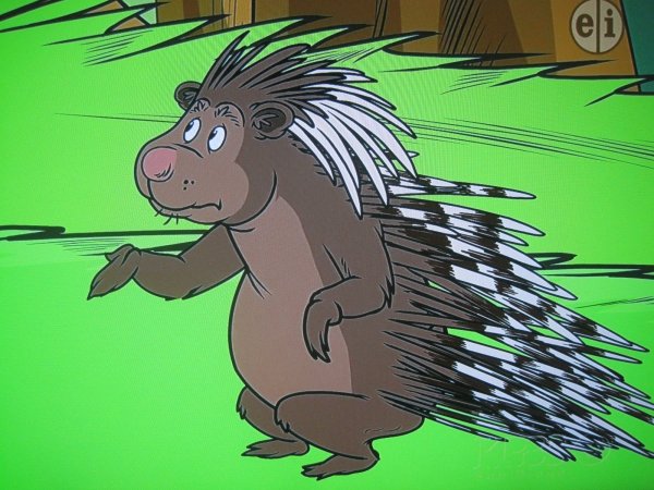 Дикобраз Сахи Маугли