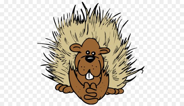 Дикобраз мультяшный