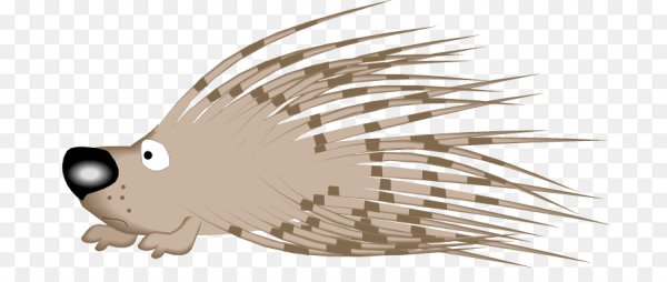 Дикобраз для детей