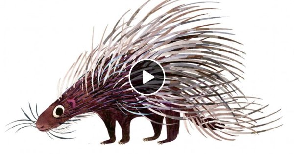 Конрад Геснер Historiae Animalium