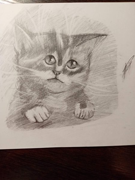 Фотография рисунок карандашом