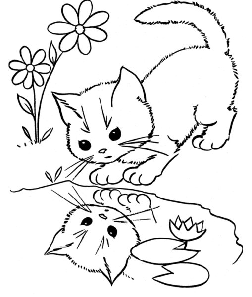 Котенок рисунок