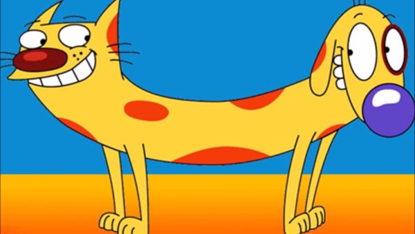 Котопёс мультик