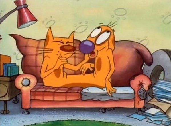 Котопес мультик Котопес