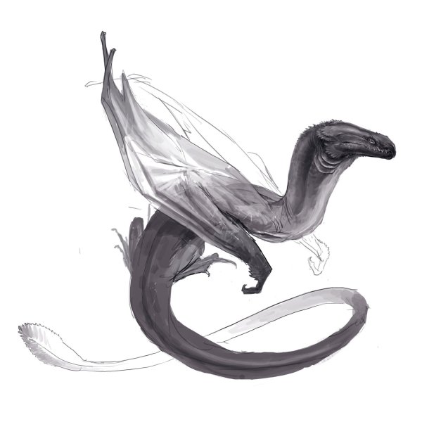 Грифон сипуха