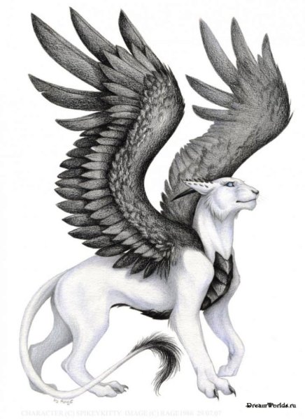 Грифон Котосова арт