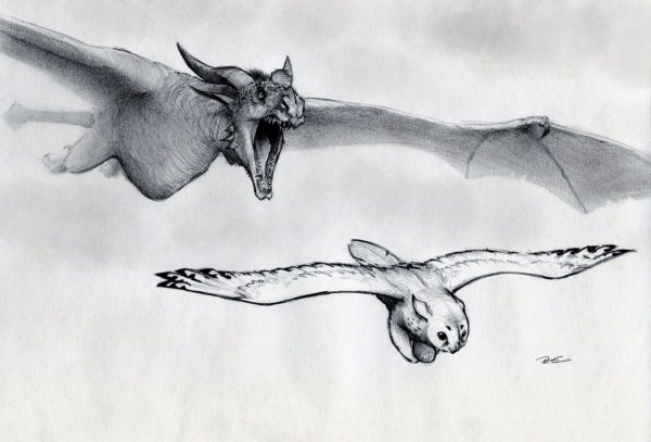 Мантикора и Грифон