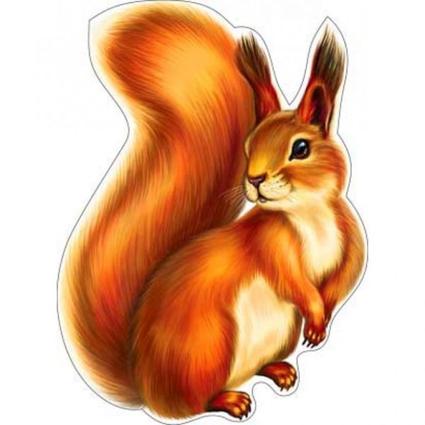 Белка для детей дошкольного возраста