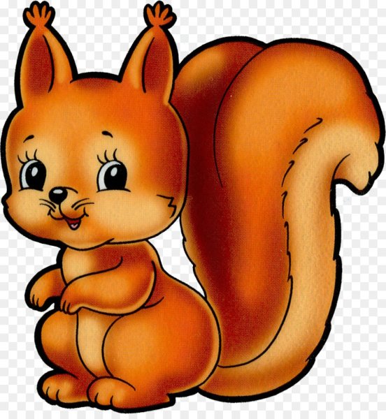 Белка для детского сада