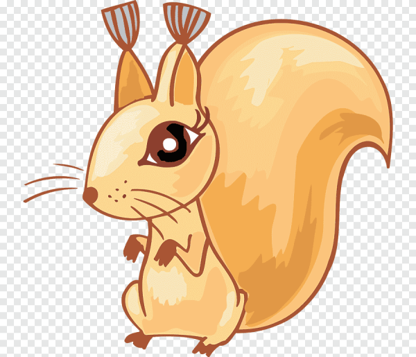 Белка рисунок для детей