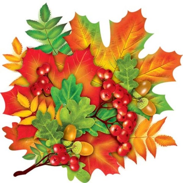 Осенняя раскраска