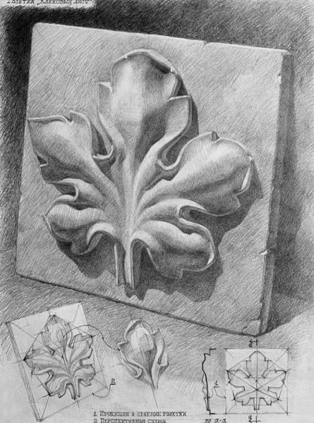 Гипсовая розетка пятилистник Академический рисунок