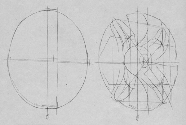 Линейно-конструктивный рисунок гипсовой розетки