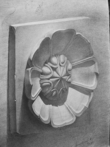 Розетка рисунок Академический сбоку