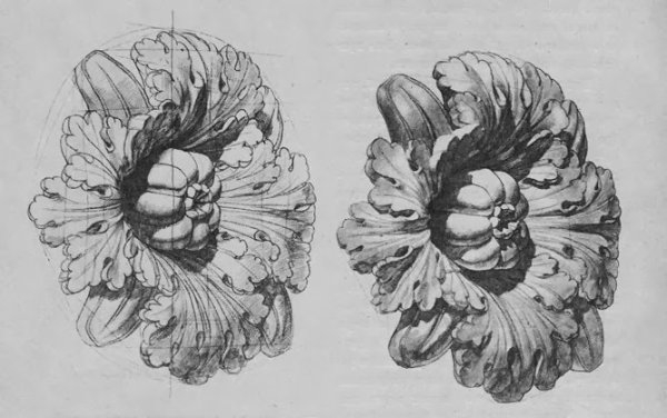 Розетка Академический рисунок