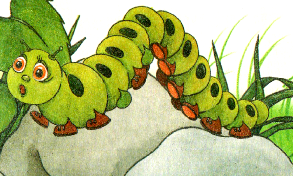 Сороконожка мультяшная