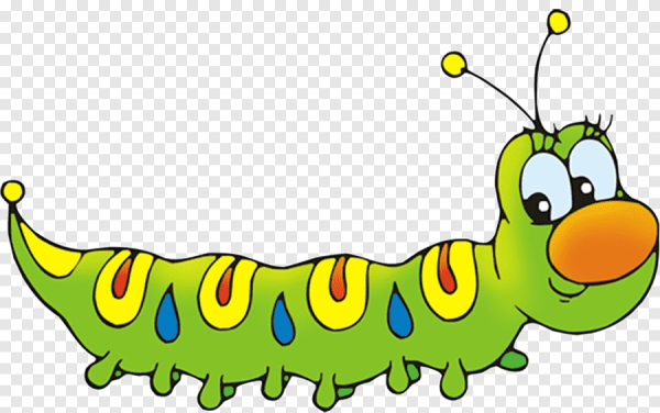 Сороконожка раскраска для детей