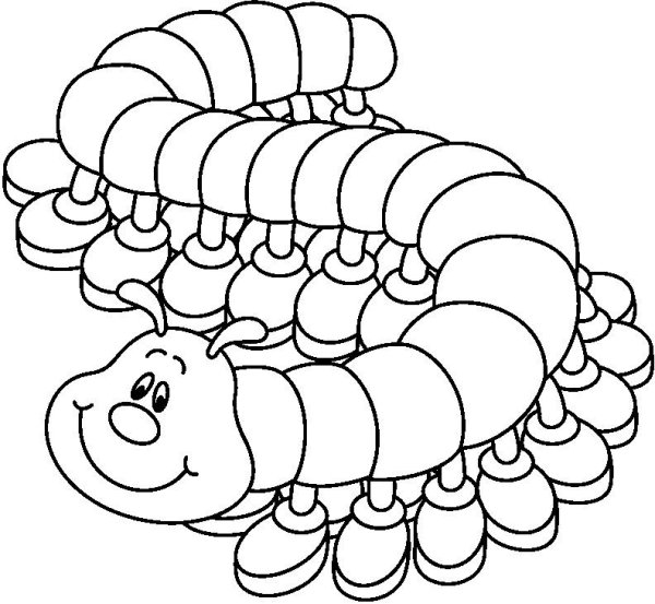 Многоножка мухоловка