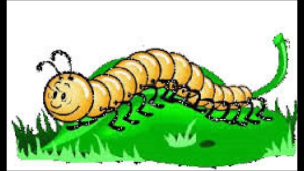 Гусеница - сороконожка