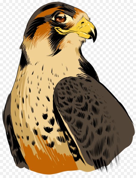 Сокол мультяшная