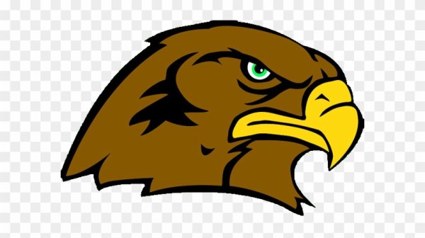 Нарисовать ястреба