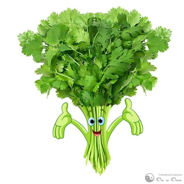 Петрушка клоун