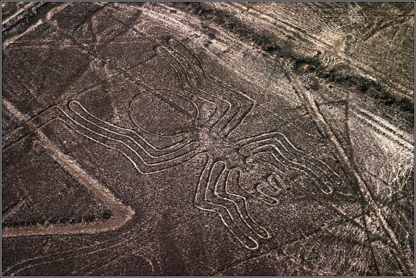 Рисунки пустыни Наска