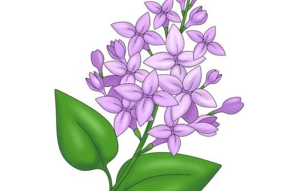 Пуантилизм сирень