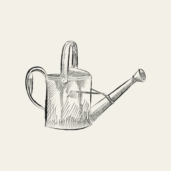 Лейка референс