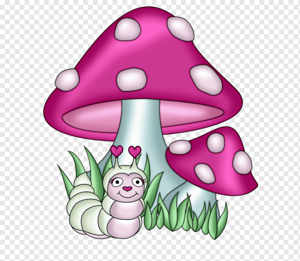 Мухомор инди КИД