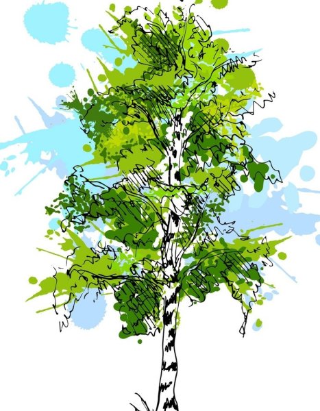 Дерево береза вектор